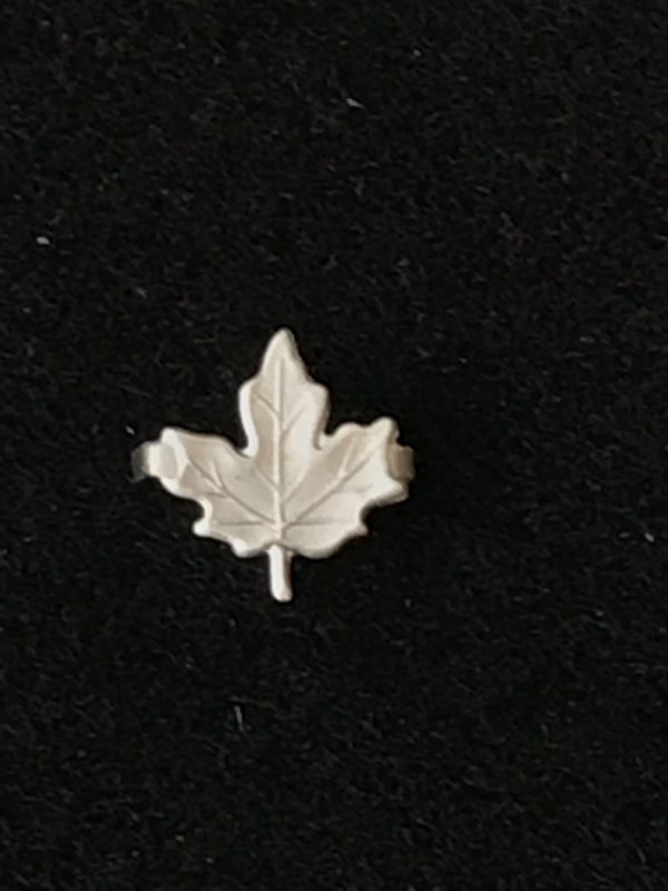Feuille CVSM de développement